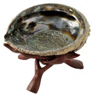Abalonesnäcka med en ställning i trä.