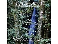 NatureQuest Woodland Piano
